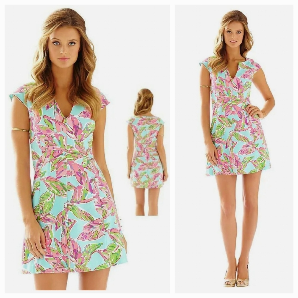 Lilly Pulitzer Brielle Dress EUC/VGUC In The Vias Size XL